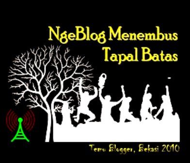 temu blogger