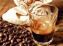 kopi-luwak-coffee kopi-luwak-coffee