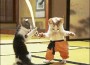 kucing_02